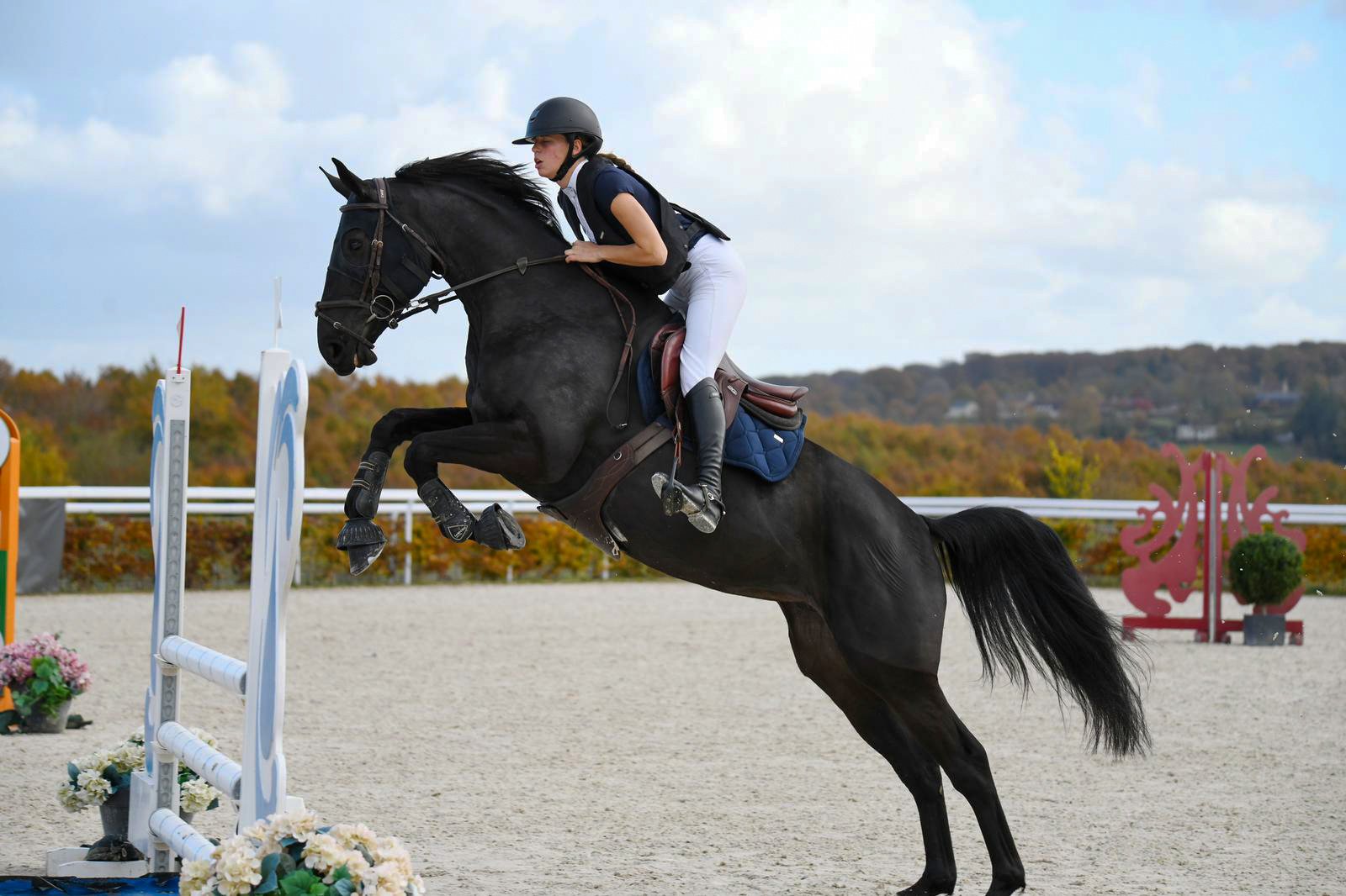 Compétitions Compétitions